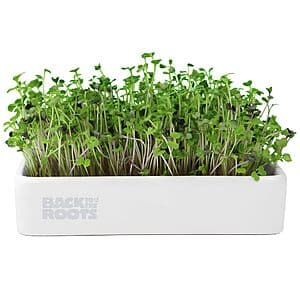 Back to The Roots Organic Microgreens Grow Kit w/ Ceramic Planter $10