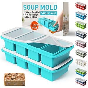 2-Pk 4-Compartment Socisen Silicone Freezer Trays w/ Steel Reinforced Rim & Lids $10