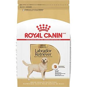 Royal Canin Dog Food: 30-Lb Labrador Retriever Adult Dry Food (Chicken) 2 for $60 w/ S&S & More + Free S&H