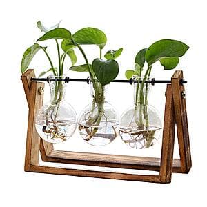 XXXFlower 3-Bulb Vase Plant Terrarium Air Planter w/ Wooden Stand $9.90