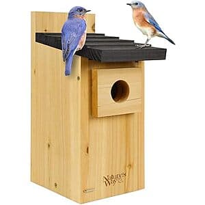Cedar construction blue bird box house with ventilation holes and drainage, mounted design suitable for outdoor installation.