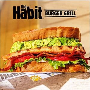 Habit Burger Chicken Club sandwich on a plate, featuring grilled chicken breast with bacon, lettuce, and tomato.