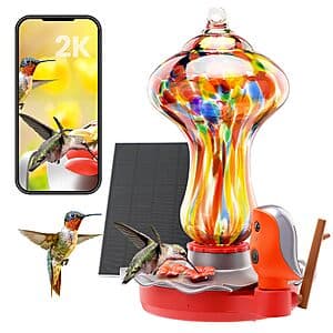 BBPECO Glass Smart Hummingbird Feeder w/ 2K Solar Powered Camera (Mushroom) $30 + Free Shipping