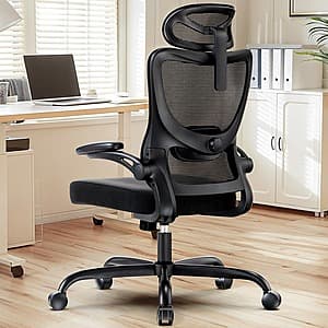Black ergonomic high back office chair with lumbar support, 2D headrest, and 3D adjustable armrests.