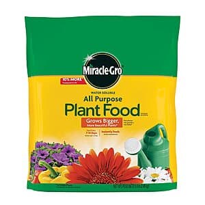 5.5-pound bag of Miracle-Gro Water Soluble All Purpose Plant Food with blue and green packaging showing the 24-8-16 formula.