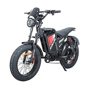 BAOLUJIE DM01 20" Off-Road E-Bike $899 + Free S&H