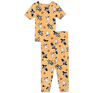 2-Pc Toddler Halloween Character Cotton Pajama Sets (Bluey, Care Bears & More) from $3.15