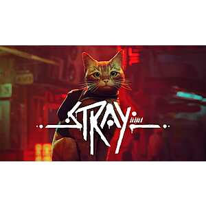 A ginger cat standing in a neon-lit cyberpunk cityscape surrounded by robots and futuristic architecture.