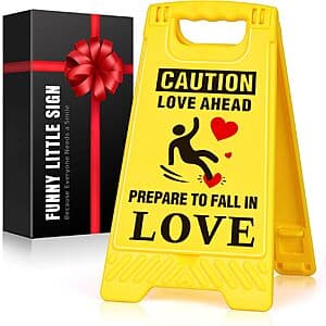 LAGERFEY Valentines Day Funny Mini Desk Decor Sign $1.50