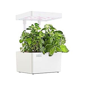 3-Pod Back to the Roots Hydroponic Indoor Grow Kit w/ Organic Seeds (White) $12 + Free Shipping w/ Prime
