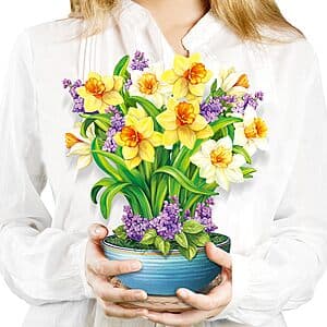Airpark 3D Paper Pop Up Flower Bouquet Card w/ Note Card & Envelope (Various) from $4.90
