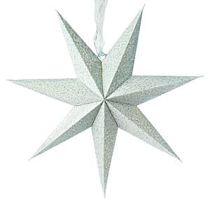 Holiday Time Light-Up Hanging Flocked Paper Star: 29" Blue or White $3.35, 17" Blue $2