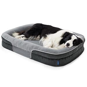 Charcoal-colored 42-inch XL orthopedic oval bolster dog bed with raised edges and cushioned base for large dogs.