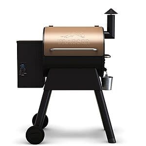 Traeger Grill Pro 22 electric wood pellet grill and smoker in bronze color with side shelf and control panel.
