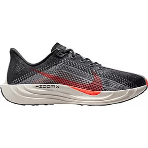 Nike Men's Pegasus Plus Running Shoes (Anthracite/Crimson) $83.65 + Free Shipping