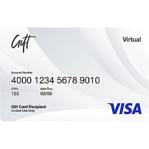 $200 Visa Virtual Gift Card $200 (email delivery)