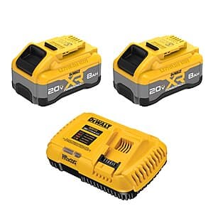 2-Count DeWalt 20V MAX XR 8.0 Ah Li-Ion Battery & Charger Kit w/ 3 Bonus Tools $449 + Free Shipping