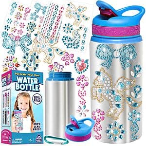 Purple Ladybug Gemstone Decorating Kit w/ 20-Oz Water Bottle & 4 Sticker Sheets $5