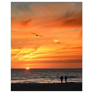 16x20 repositionable poster in standard white or custom print options available for personalization.