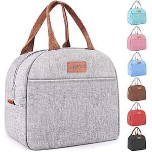 11L EASYFUN Insulated Lunch Bag Cooler w/ Carry Handle (Gray) $6.65