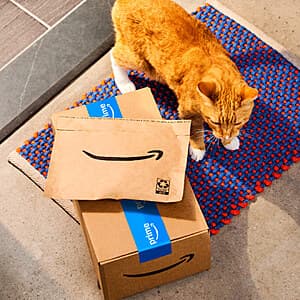 Amazon: Select Citi ThankYou Rewards Cardholders: Redeem $20 in ThankYou Points, earn a $10 Gift Card