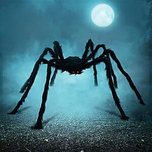 5-foot tall black spider Halloween yard decoration with detailed legs and body, designed for outdoor seasonal display.