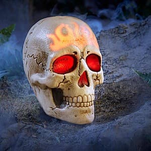 Home Accents 8" Halloween Classics Battery Operated LED Skull $7 & More + Free Pickup