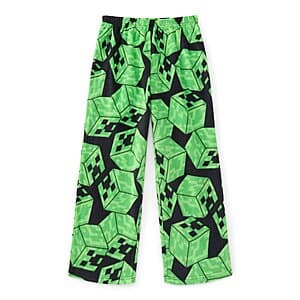 Kids' Soft & Cozy Character Pajama Pants (4-16): Minecraft, Spider-Man, Bluey $5 each & More + Free Store Pickup