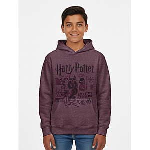 Harry Potter and Stranger Things Boy's Graphic Hoodies (Select Sizes) from $4.85