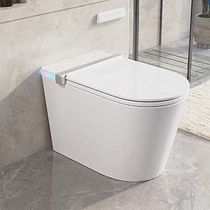 DeerValley advanced smart toilet with integrated bidet system, white ceramic bowl, heated seat, and built-in tank pump unit.