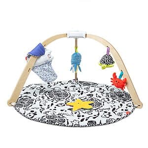 Melissa & Doug Ocean Wooden Baby Play Gym w/ Reversible Mat & Sensory Toys $30.85