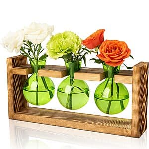 XXXFLOWER 3 Bulb Vase Plant Terrarium w/ Wooden Stand (3 Colors) $6.95