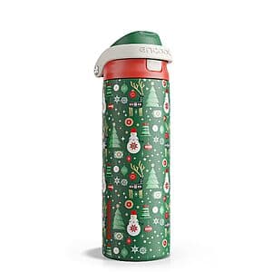 24-Oz ENCOOL Christmas Themed Insulated Water Bottle with Straw (various) $10.50